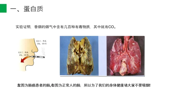 营养学营养物质研究初高中生物PPT课件