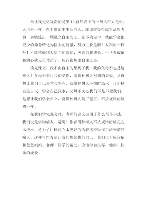 桃花心木读后感450字.docx