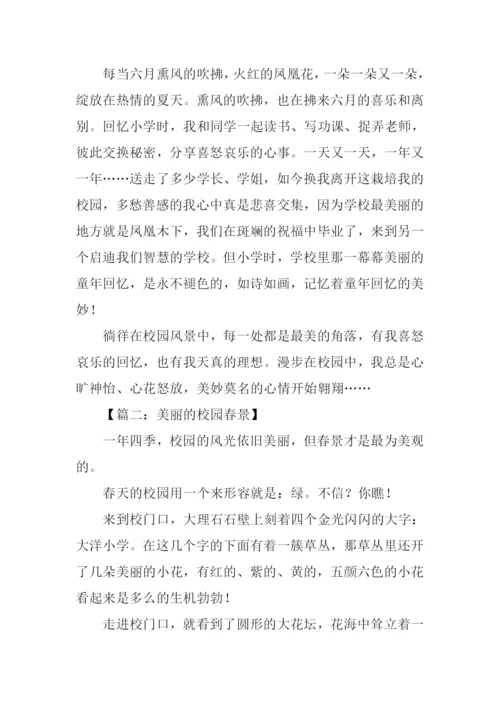 描写校园风景的作文800字.docx