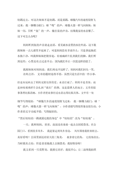 中小学我的暑假作文(2)