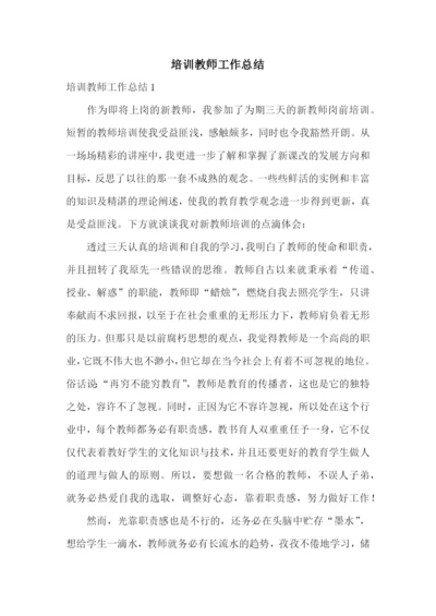 培训教师工作总结.docx