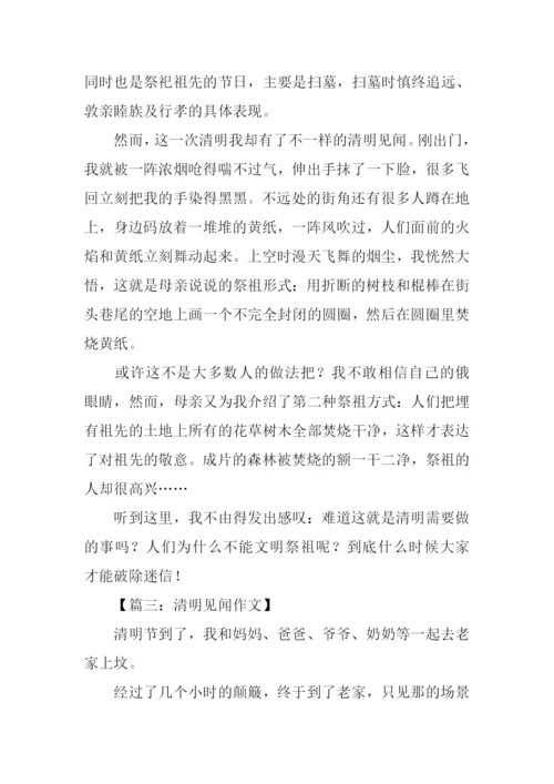 清明见闻作文300字.docx