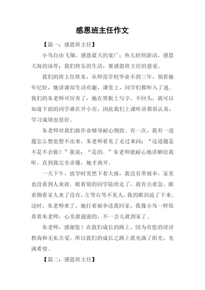 感恩班主任作文.docx