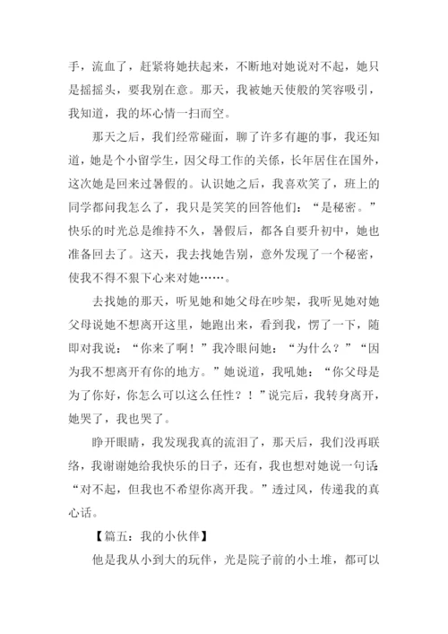 写小伙伴的作文.docx