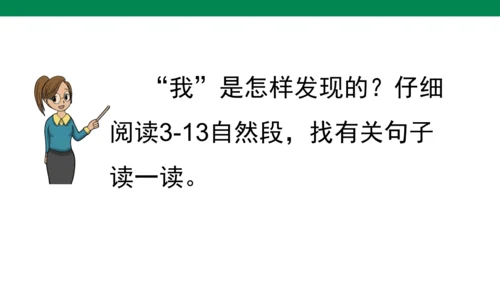 23 童年的发现 1课时 课件