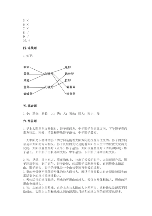 教科版小学科学三年级下册 期末测试卷（重点）.docx