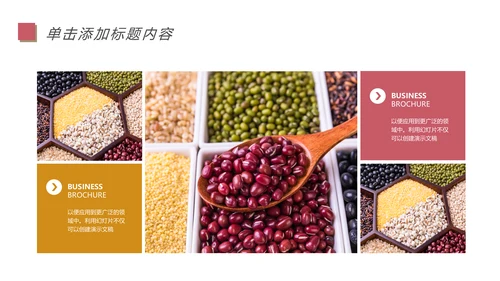 五谷杂粮土特产农产品生态食品PPT模板