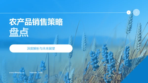 农产品销售策略盘点