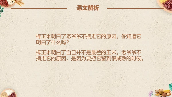 最棒的玉米小学四年级语文课文PPT课件