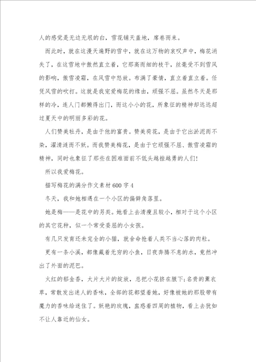 描写梅花的满分作文素材600字