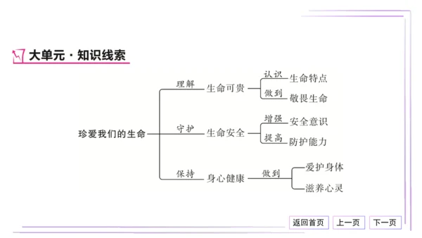 16 第三单元 珍爱我们的生命（单元总结与高频考点演练）【统编2024版七上道法期末专题复习】课件(