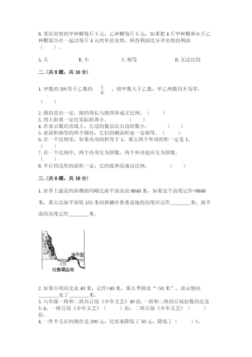 苏教版数学六年级下册试题期末模拟检测卷附完整答案【网校专用】.docx