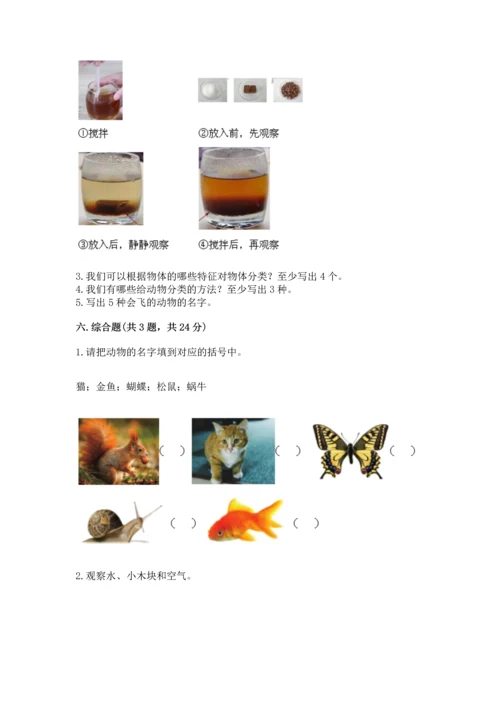 教科版一年级下册科学期末测试卷精品【名校卷】.docx
