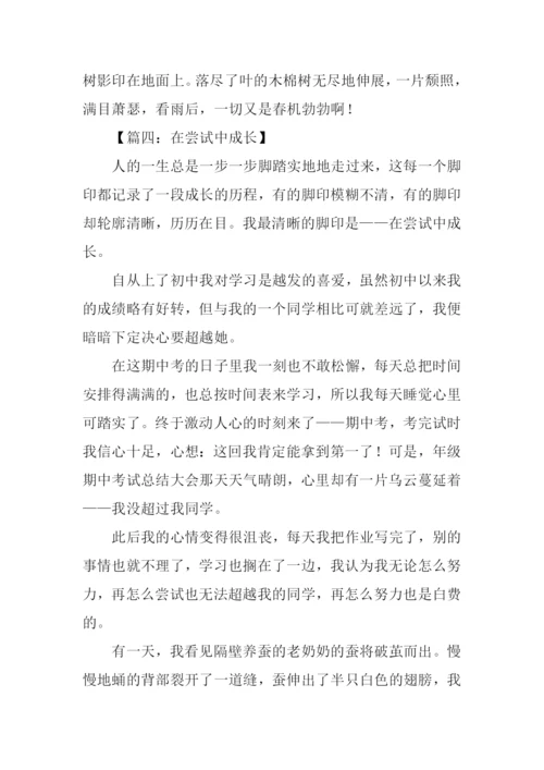 在尝试中成长初三作文.docx