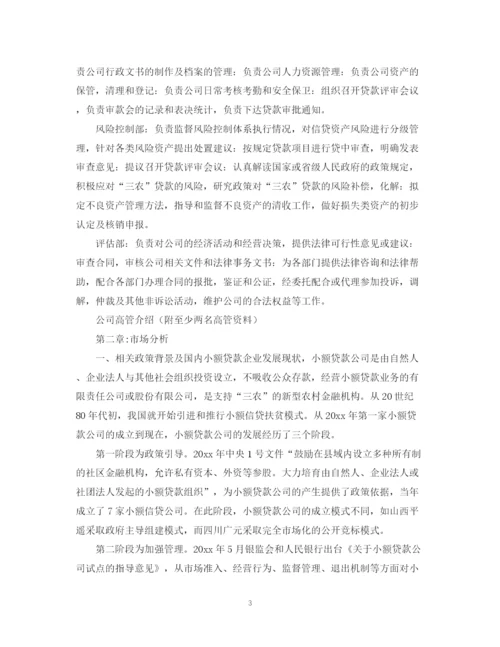 精编之小贷公司商业计划书.docx