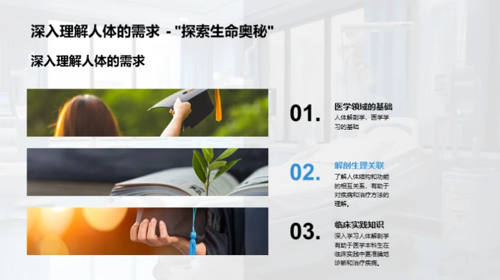 人体解剖学探索