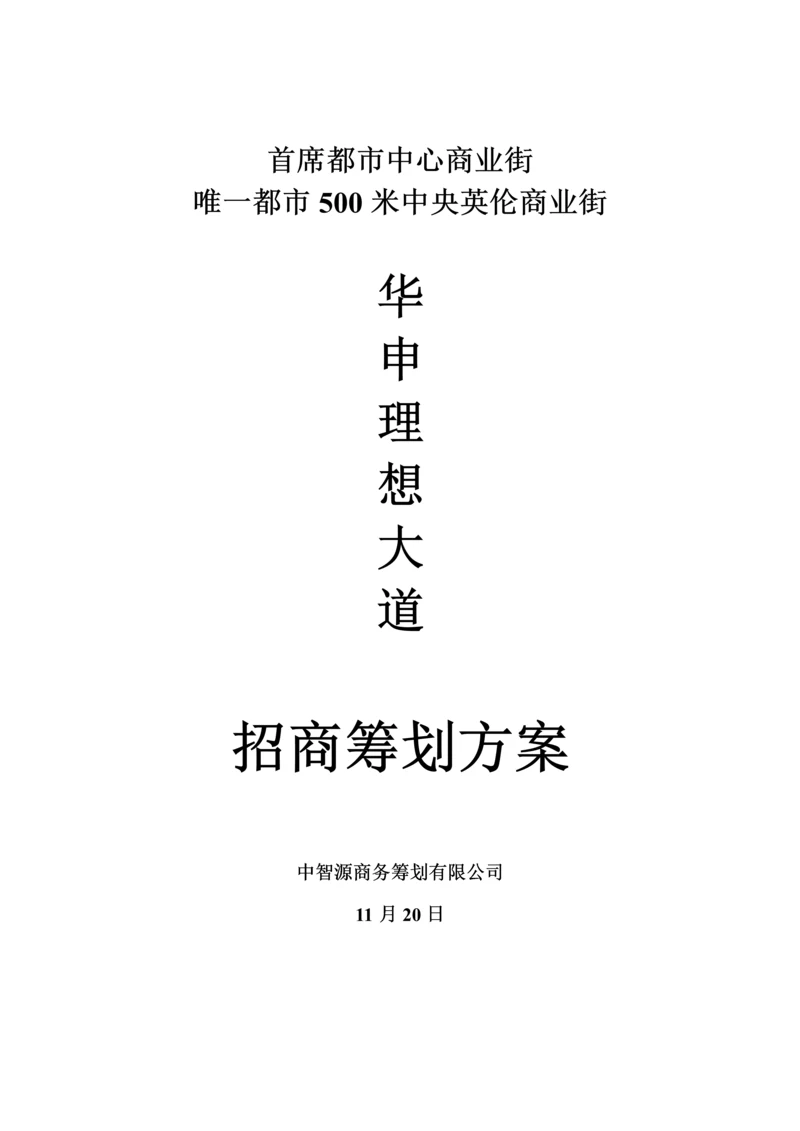 华申理想大道招商专题方案.docx