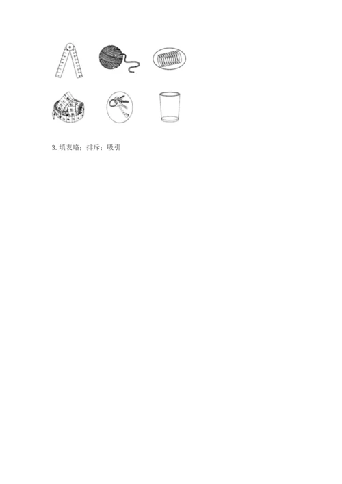 教科版小学科学二年级下册期末测试卷【综合卷】.docx