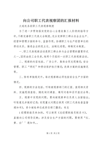 向公司职工代表视察团的汇报材料 (4).docx