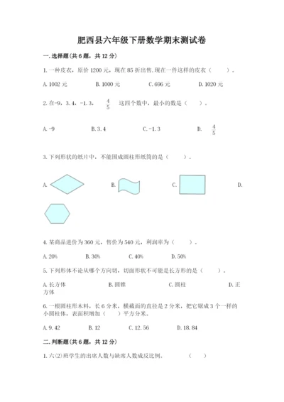 肥西县六年级下册数学期末测试卷完整.docx
