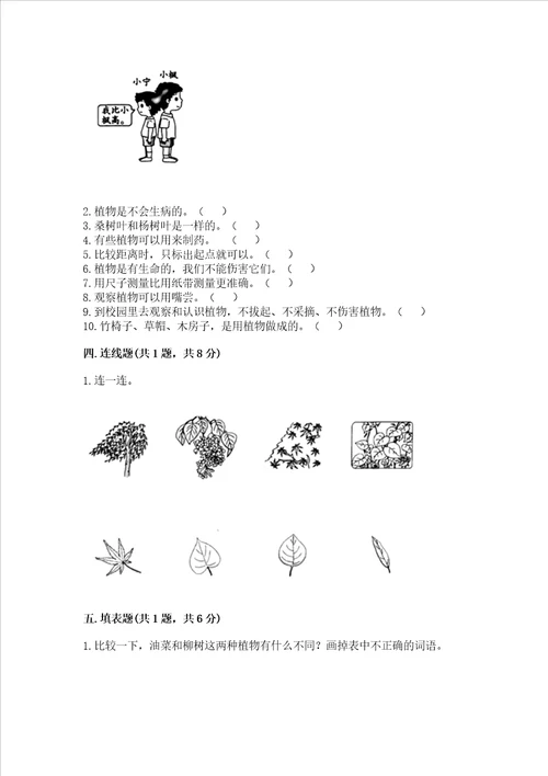 教科版小学一年级上册科学期末测试卷及答案新