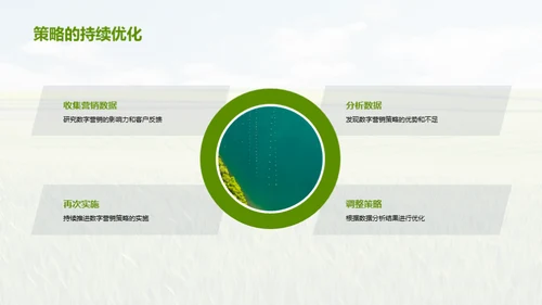 农业科技与数字营销