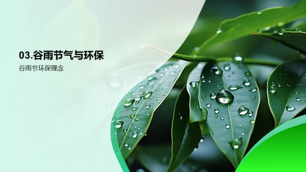 谷雨节气与环保生活