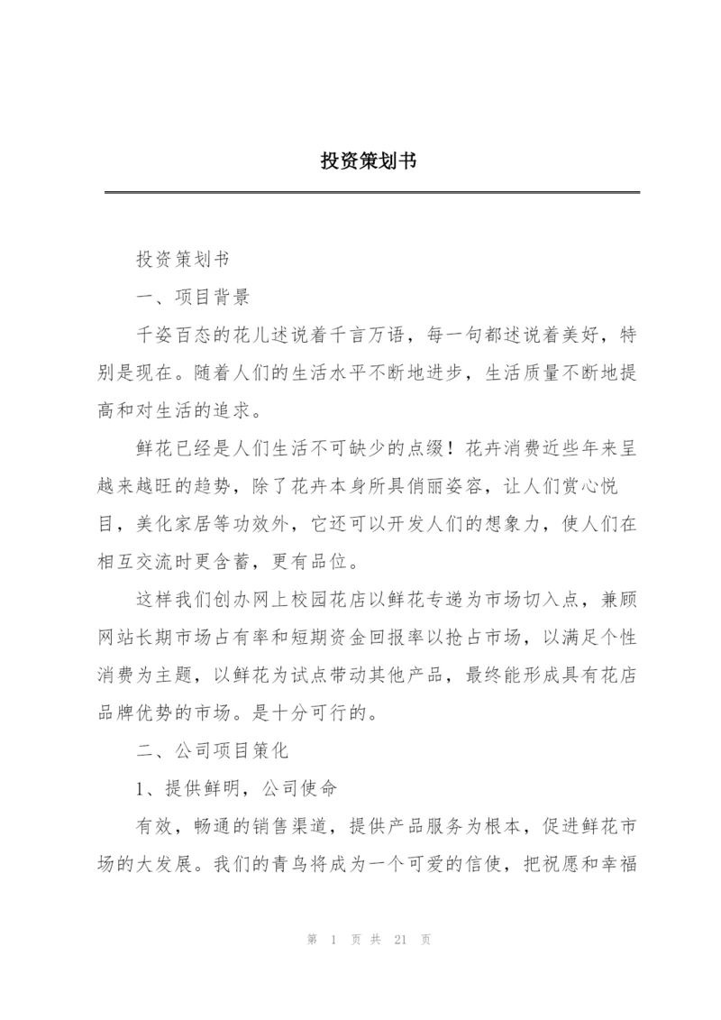投资策划书.docx