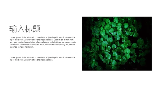 绿色叶子一叶一菩提通用PPT模板