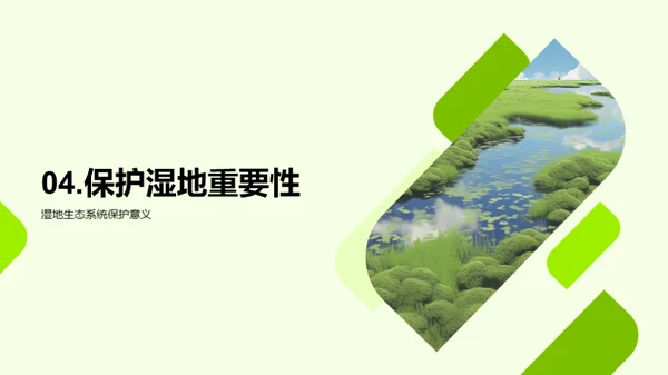 湿地生态：守护与挑战