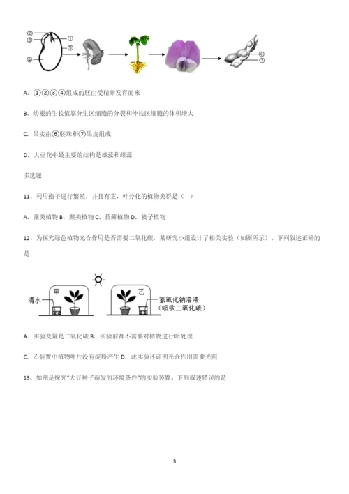 通用版初中生物七年级上册第三单元生物圈中的绿色植物专项训练题.docx