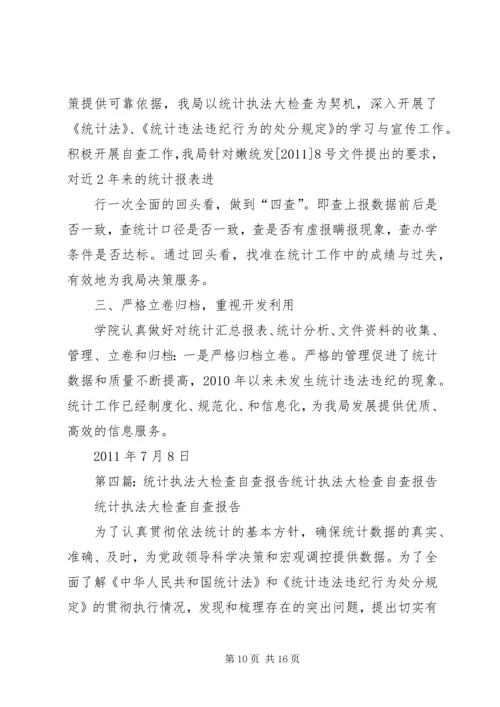县统计执法检查自查报告 (2).docx