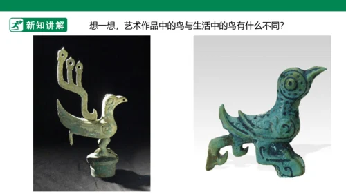 第十九课《我喜欢的鸟》课件