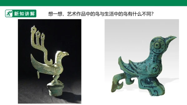 第十九课《我喜欢的鸟》课件