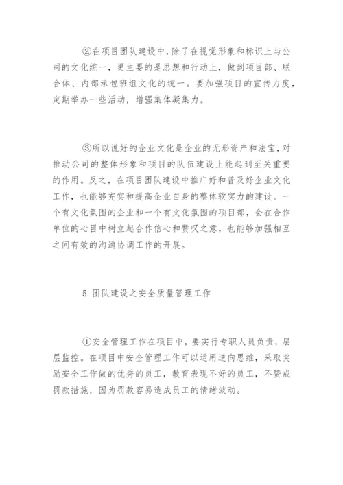 团队建设与项目管理.docx