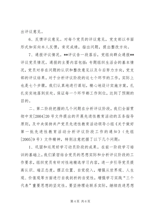 保先二阶段分析评议阶段总结.docx