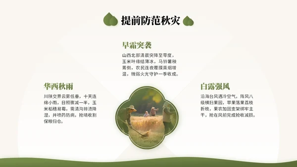 橄榄绿中国风二十四节气之白露节气知识讲座PPT模版