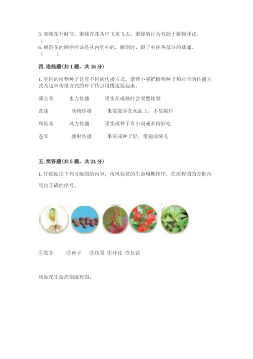 教科版科学四年级下册第一单元《植物的生长变化》测试卷a4版.docx