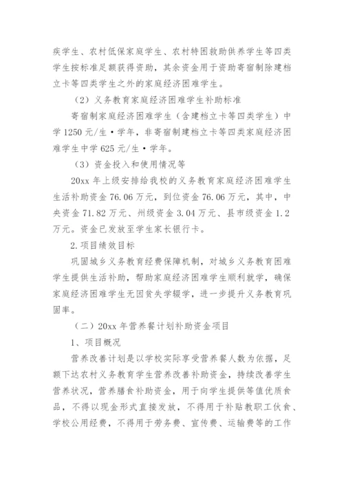 学校项目绩效运行监控报告.docx