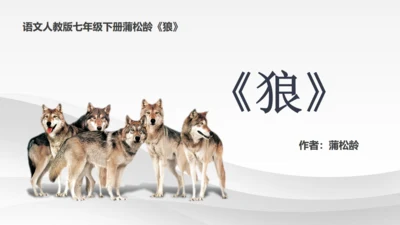 蒲松龄《狼》语文教学通用PPT教学课件