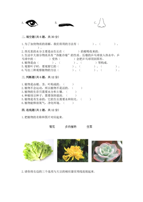 教科版科学一年级上册第一单元《植物》测试卷带答案（综合题）.docx