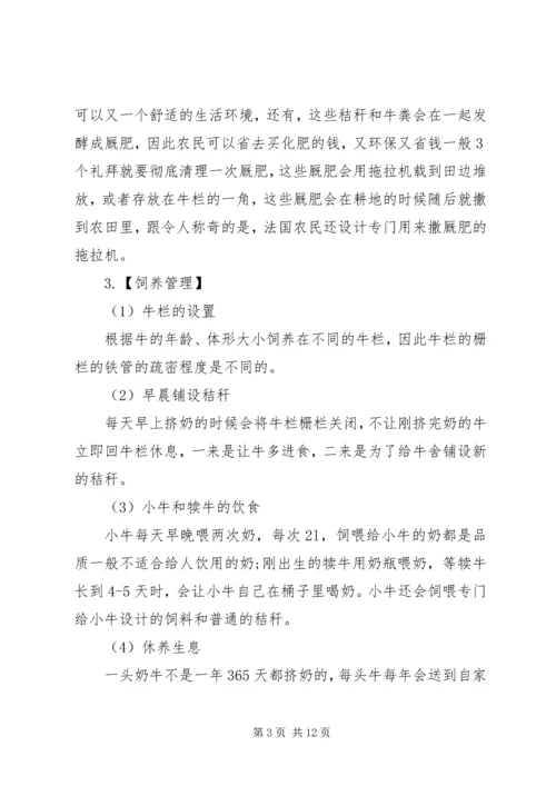 奶牛场实习报告.docx