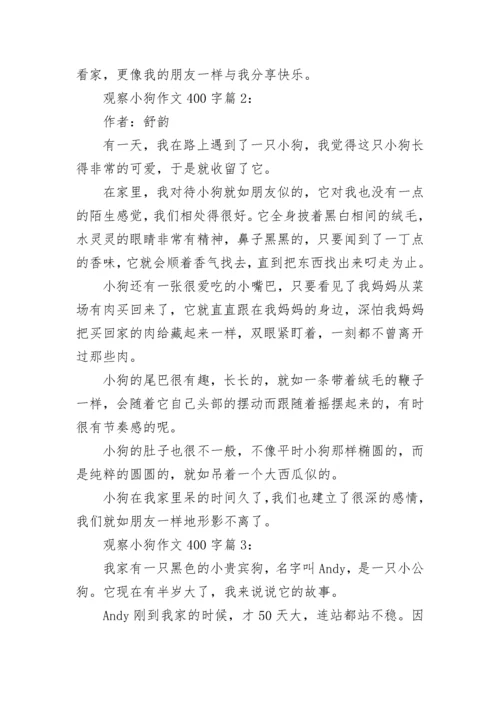 观察小狗作文400字5篇.docx