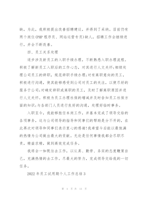 2022年员工试用期个人工作总结范文.docx