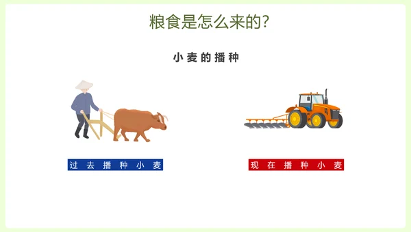 拒绝浪费中小学生节约粮食主题班会PPT模板