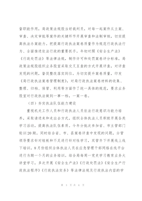 应急管理局依法治县改革工作总结.docx