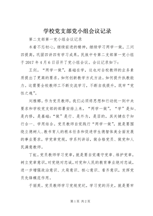 学校党支部党小组会议记录.docx