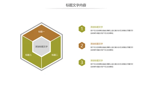 人身保险社区医疗保险行业工作总结PPT模板
