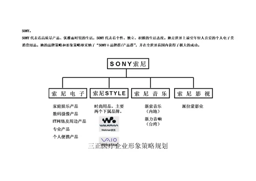 某医疗企业形象策略建议