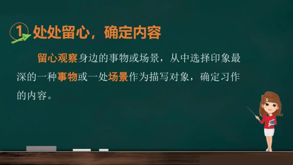 统编版语文三年级上册 第五单元习作： 我们眼中的缤纷世界课件